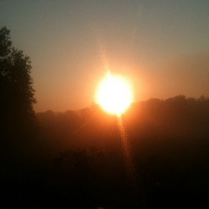 From The Rising Sun Its...