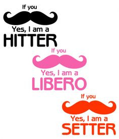 ... setter libero more volleyball quotes for setters volleyball quotes for