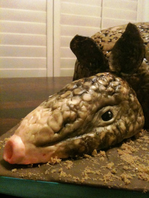 steel magnolia quotes armadillo cake