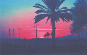 Image Credit: Arenda R., Palo Verde, AZ