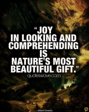 Joy in looking and comprehending is nature's most beautiful gift.