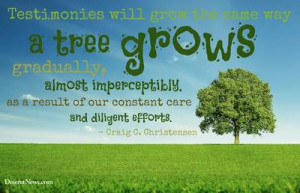 LDS Conference Quotes October 2014