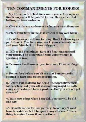 Horse commandments