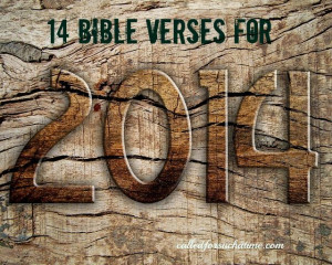 Bible Verses 2014 goals