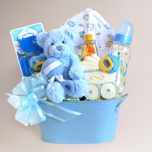cuddly welcome for baby boy gift basket