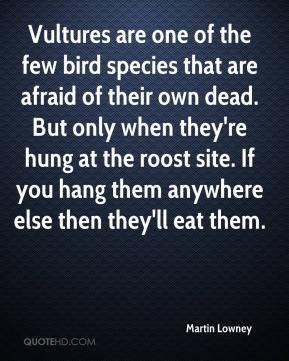 Vultures are one of the few bird species that are afraid of their own ...