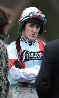 Tony Mccoy Quotes