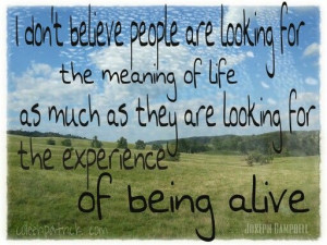 ... are looking for the experience of being alive. Joseph Campbell quote