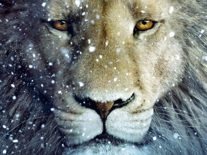 Aslan the Lion Chronicles of Narnia The Lion The Witch and the ...