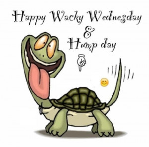 Have a Wacky Wednesday Ladies