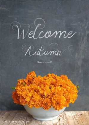 Welcome Autumn Autumn ~ orange marigold
