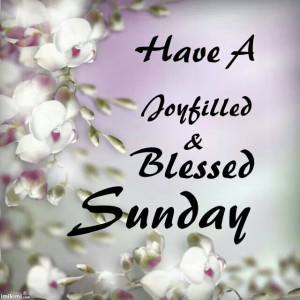 Have a Blessed Sunday