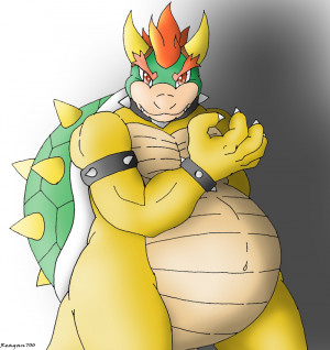 Funny Bowser Picture