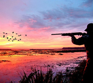 ... well-rested. No one goes on a serious duck hunt well-rested, do they