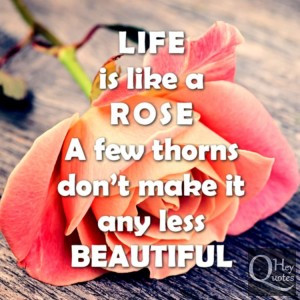 Inspirational life quote about beauty of roses and thorns