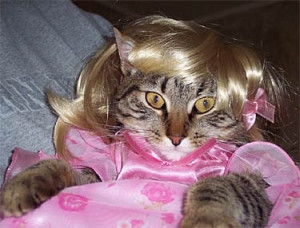 Crazy Cat Fashions: Pretty Pretty Princess