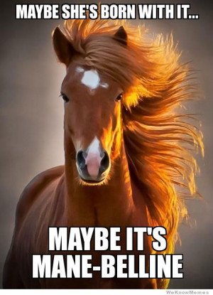 Ridiculously Photogenic Horse – meme – Maybe she’s born with it ...