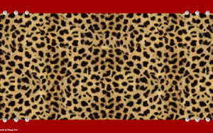 funny thanksgiving quotes cheetah diamonds twitter backgrounds cheetah ...