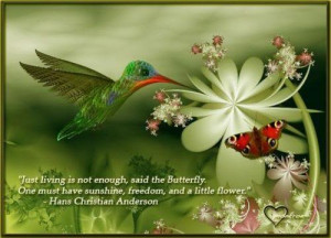 Butterfly Quotes (38)