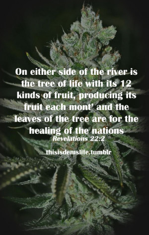 Dope Weed Quotes Tumblr Jpg Kootationcom Picture