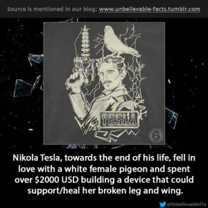 Nikola Tesla, towards the end of his life, fell in love with a white ...