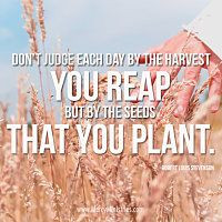 Plant seeds! #quotes #inspiration