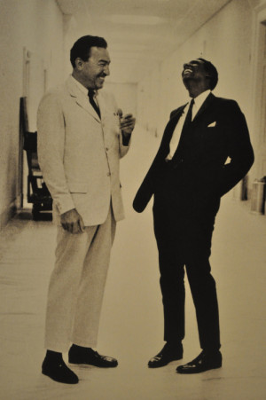 Adam and Stokely in 1966 by George Tames