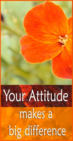 Positive attitude =A change in Life