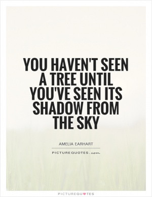 ... Quotes Flying Quotes Flight Quotes Sensations Quotes Sensation Quotes