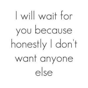 Will Wait For You