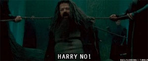 Can we all take a moment to appreciate Hagrid? Seriously, everyone ...