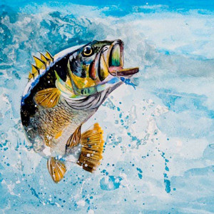 Fish Art http://www.pinterest.com/shorrobi/extreme-fishing-adventures/