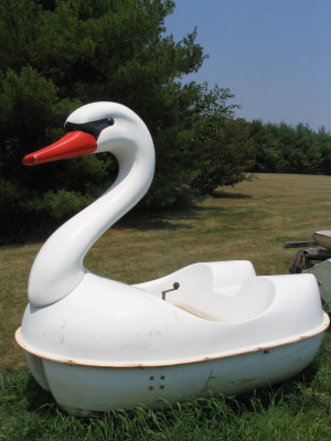 http://www.governmentauctions.org/uploaded_images/swan-760131.jpg