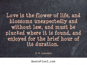 Quotes By D H Lawrence