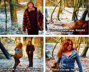 harry potter loves hermione granger