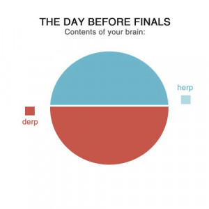 people funny people funny pictures showing funniest hilarious exam ...