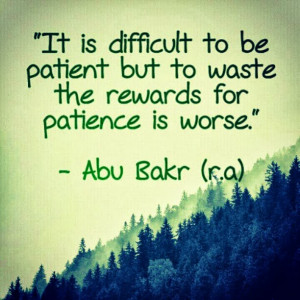 Islamic Quotes About Patience (8)