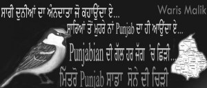 Filed Under Punjabi Culture