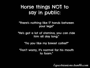 Horse Jumping Quotes and Sayings