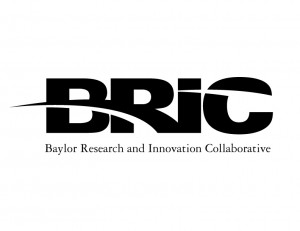 BRIC logo black