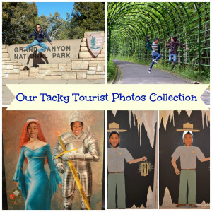 Tacky Tourist Photos 1024x1024 picture