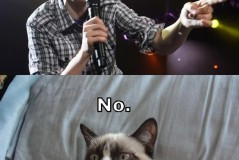 titanic grumpy cat quotes