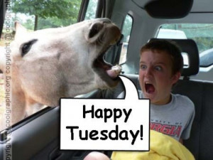 Funny Happy Tuesday – Graphic For Fun With Orkut Friends