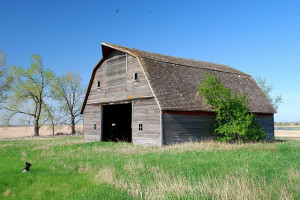 Barns
