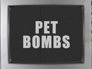 brak show dad quotes