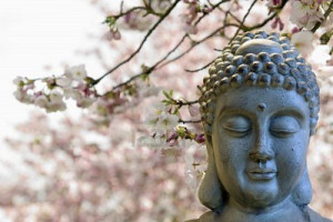 Buddha with cherry blossom