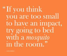 Awesome quote from CISV Sweden's mosquito tactics book. (More info ...
