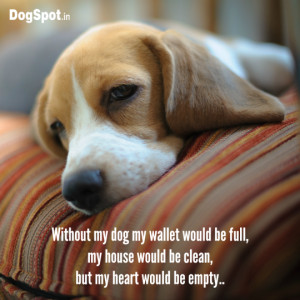 20 Dog Quotes that will make you Hug your Dog Tightly!