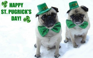 Day cute dogs st patricks day happy st patricks day st pattys day ...