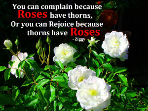 New Businesses in you can complain because roses have thorns quote